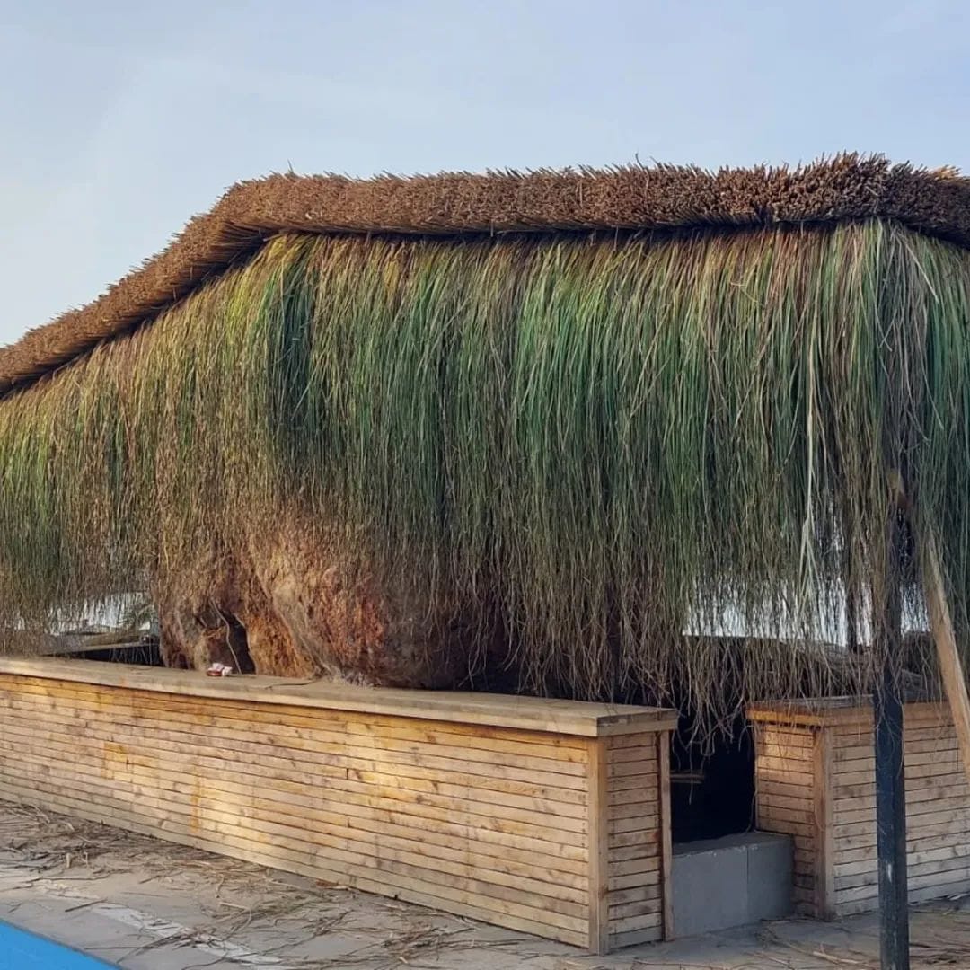 Restoran Üst Örtüsü